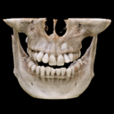 Data_Tooth