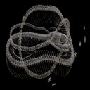Data_kingsnake